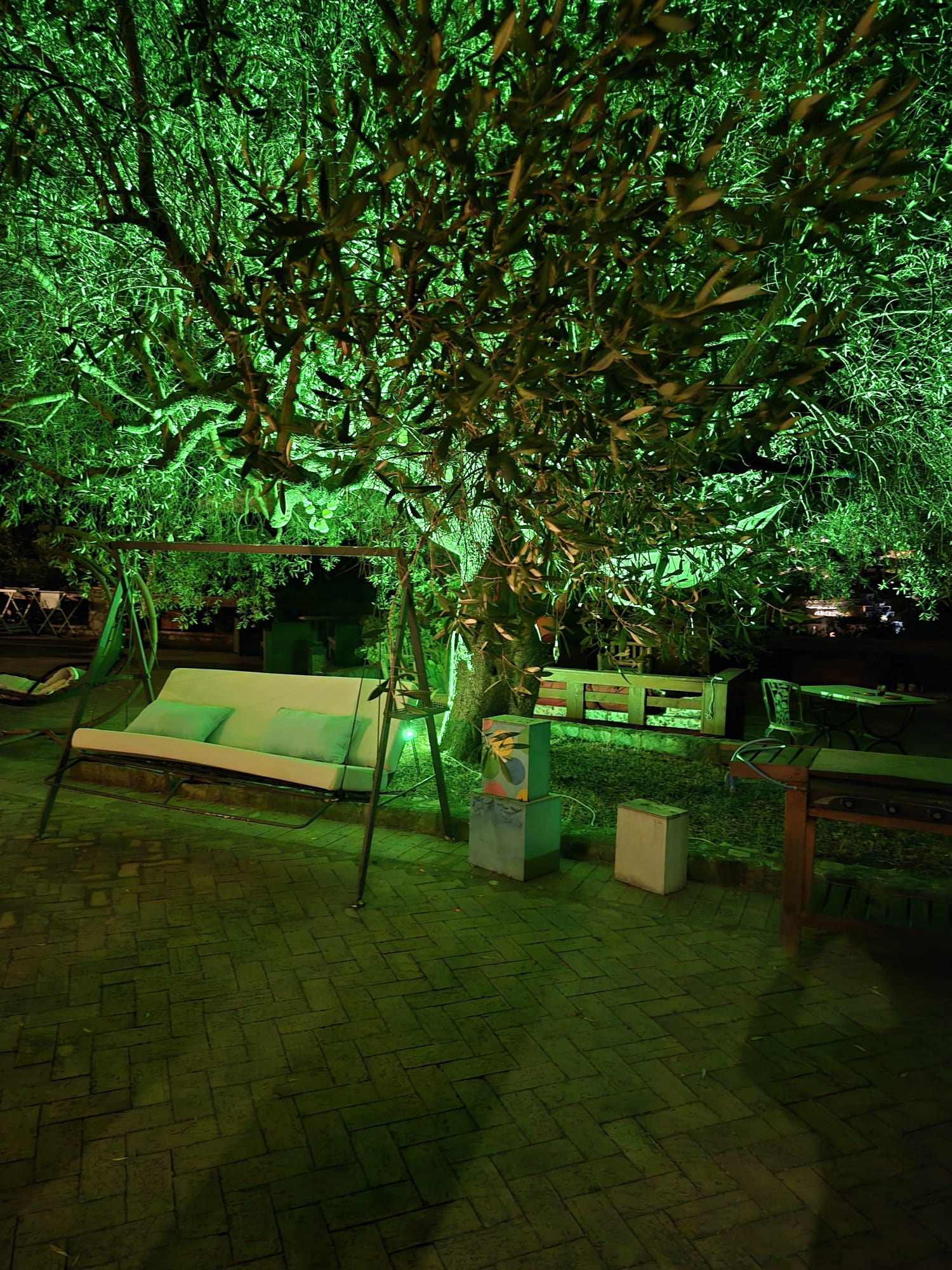 Le Canfore – foto 3